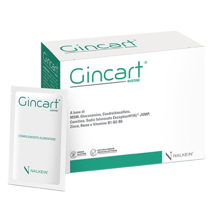 MSM + Condroitina – 18 sobres de 7 g | Gincart