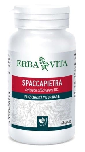 Spaccapietra – 60 cápsulas | Erba Vita