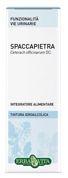 Spaccapietra Gotas – 50 ml Solución | Erba Vita