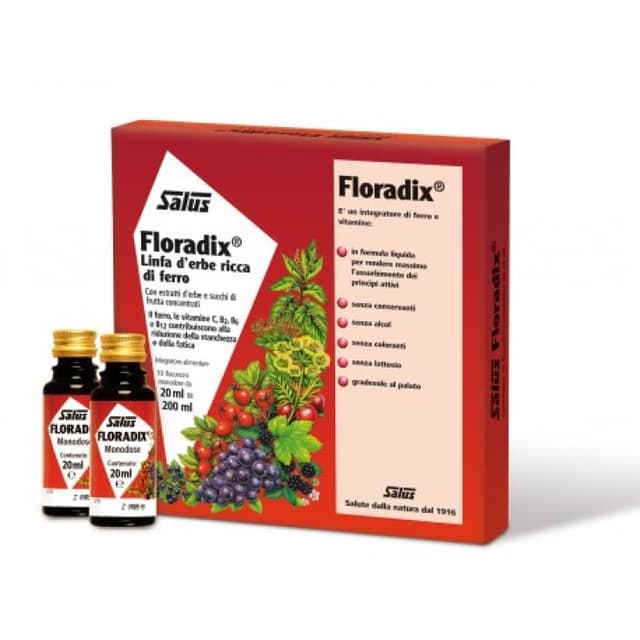 Floradix-Ferro – 10 viales de 20 ml de hierro