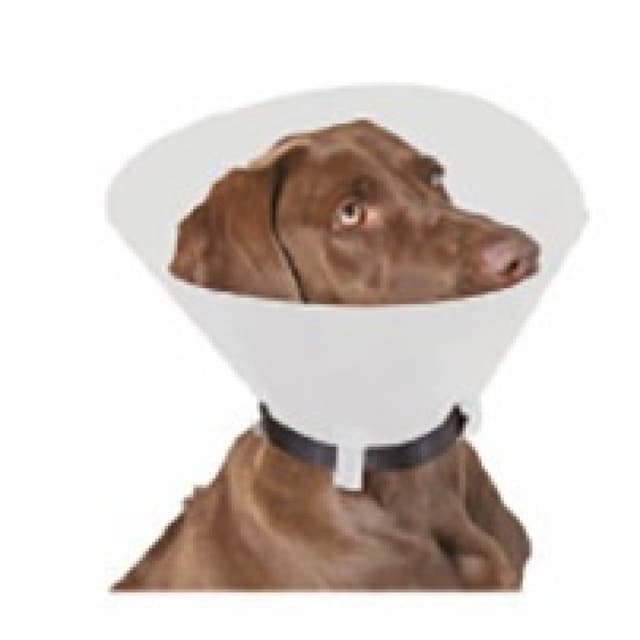 Elisabetta Collar Protector CLA 12,50 S para Animales – 10 unidades