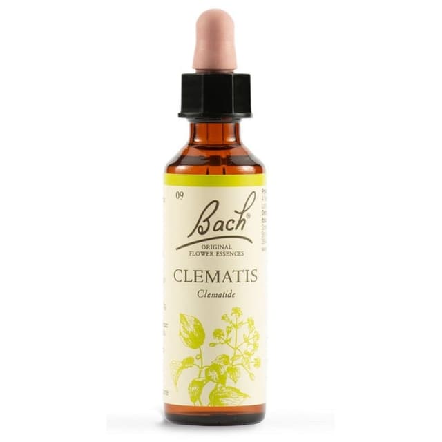 Clematis Bach Original – 20 ml gotas