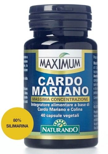 Cardo Mariano 800 mg + Colina – 40 cápsulas | Maximum Cardo Mariano