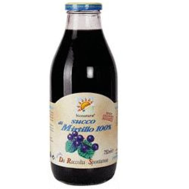 Arándano – 500 ml | Selvaggio Zumo de Arándano Puro