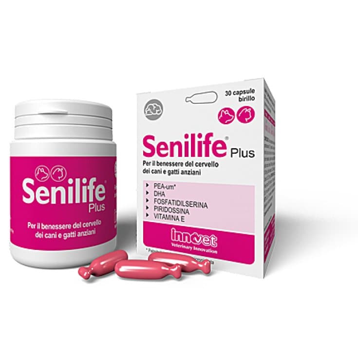 Senilife Plus – 30 cápsulas | Complemento alimenticio para perros
