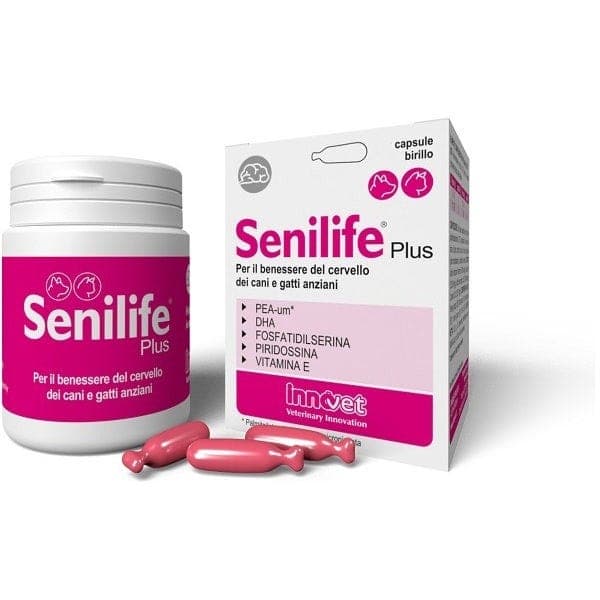 Senilife Plus – 60 cápsulas | Complemento alimenticio para perros