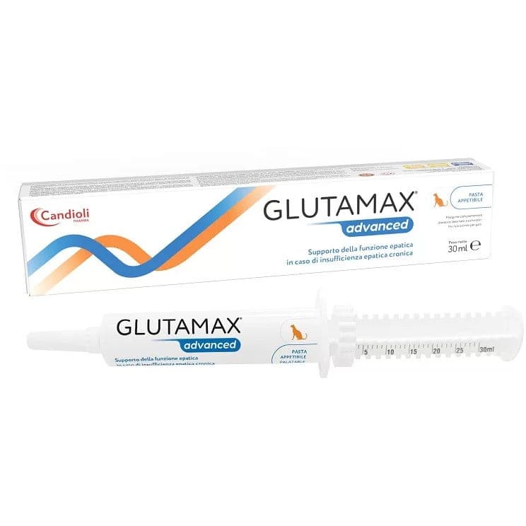 Glutamax Advanced – 30 ml pasta en jeringa dosificadora