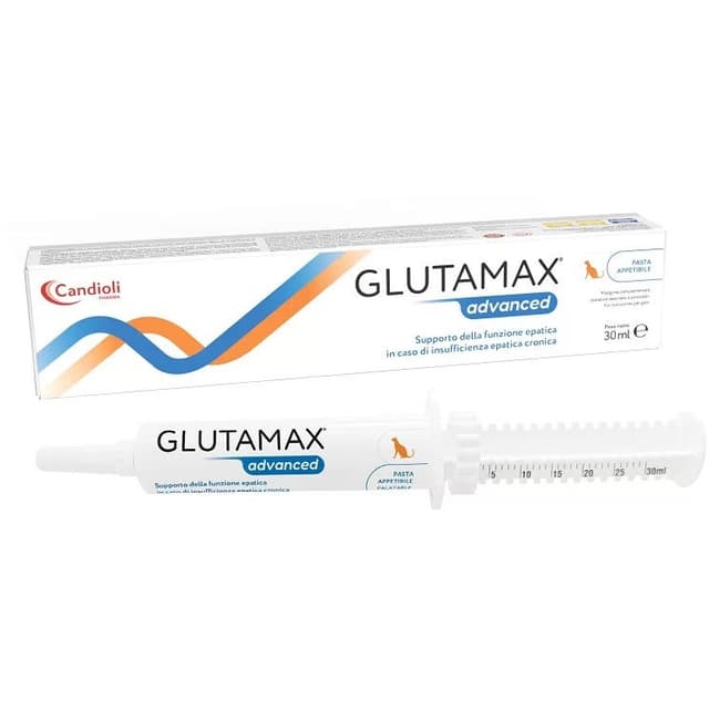 Glutamax Advanced – 30 ml pasta en jeringa dosificadora