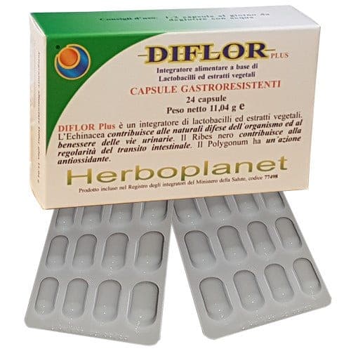 Equinácea 320 mg + Grosella Negra – 24 cápsulas | Herboplanet Diflor Plus