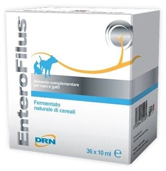 Enterofilus – 36 ampollas de 10 ml para perros y gatos