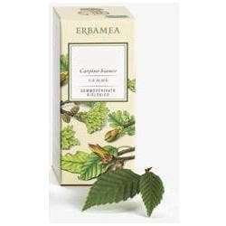 Ribes Nigrum Gemme – Macerado de yemas Erba Vita | Erbamea