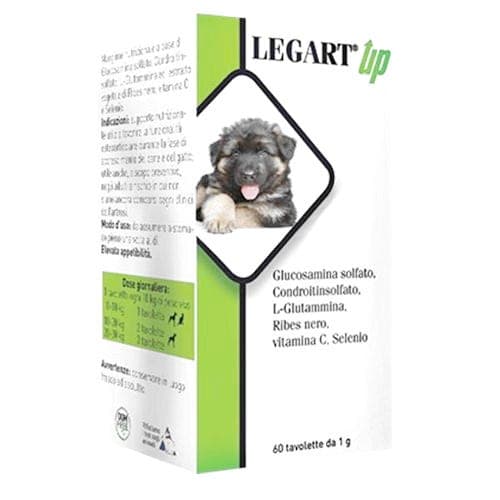 Legart Up – 120 comprimidos
