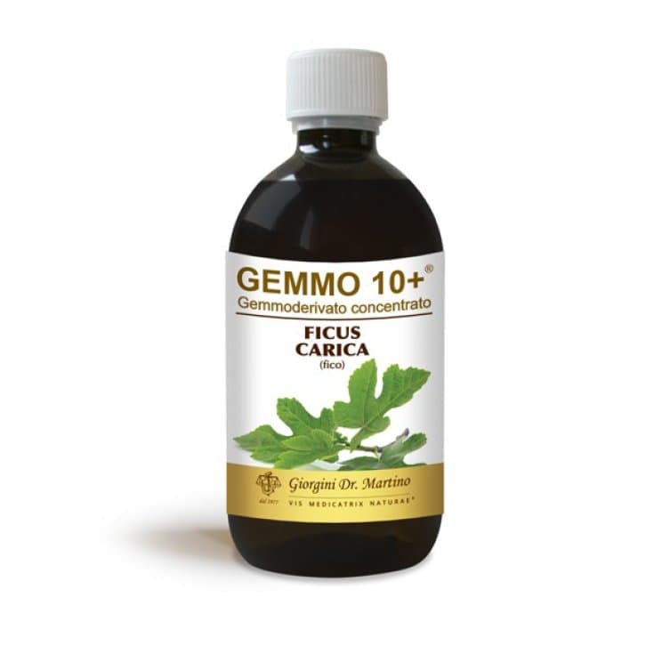 Fico Gemmo Liquid – Extracto de yemas de higuera sin alcohol – 500 ml | Dr. Giorgini