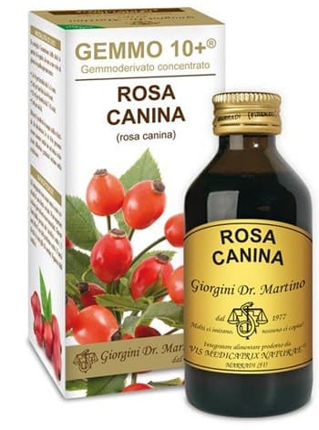 Rosa Canina Líquido – Gemoderivado 10+ | Dr. Giorgini