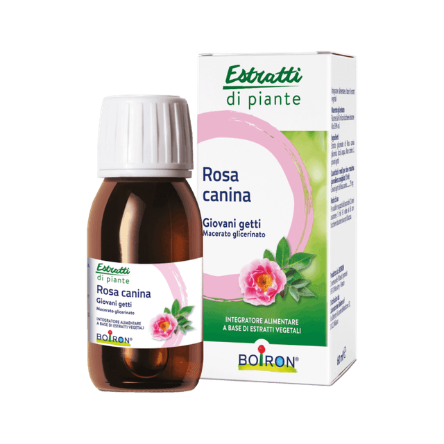 Rosa Canina MG Glicerinado Madre – 60 ml | Boiron