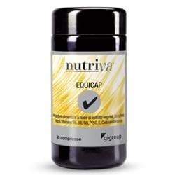 Multivitaminas + Zinc – 30 comprimidos | Nutriva Equicap