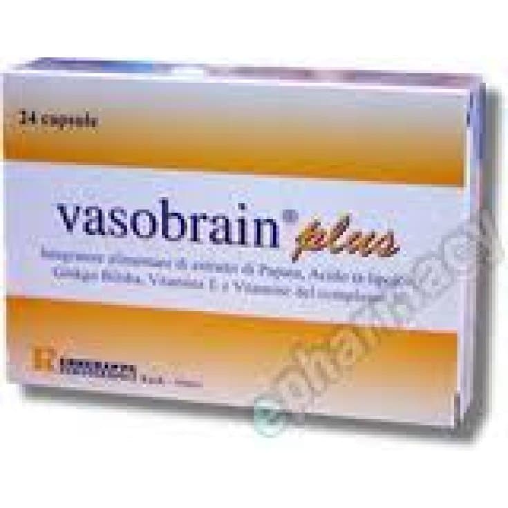 Ácido alfa-lipoico + Ginkgo biloba – 24 cápsulas | Vasobrain Plus