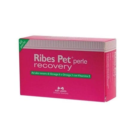 NBF Lanes Ribes Pet Recovery – 60 perlas