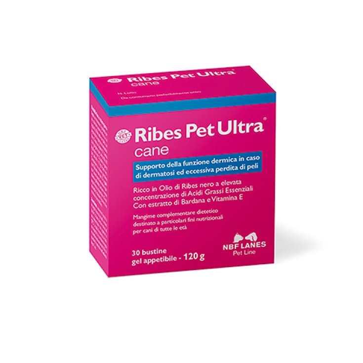 NBF Lanes Ribes Pet Ultra Cane Gel – 30 sobres