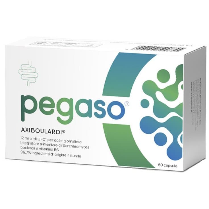 Vitamina B6 – 60 cápsulas | Pegaso Stop
