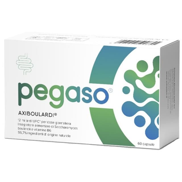 Vitamina B6 – 60 cápsulas | Pegaso Stop