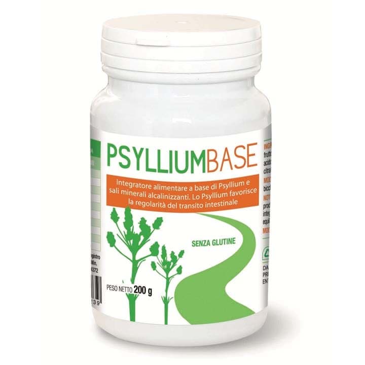 Psyllium Base Polvo – 200 g