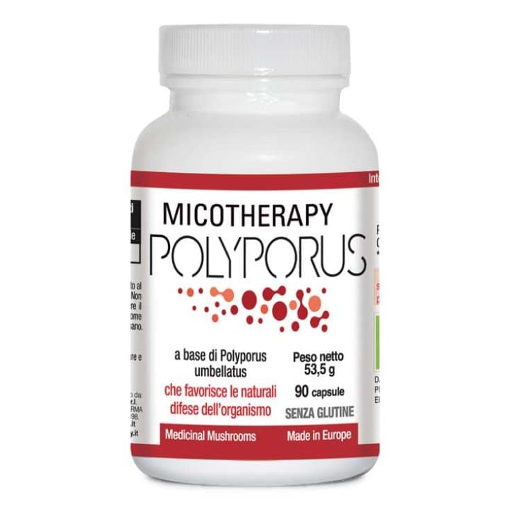 Micotherapy Polyporus – 90 cápsulas