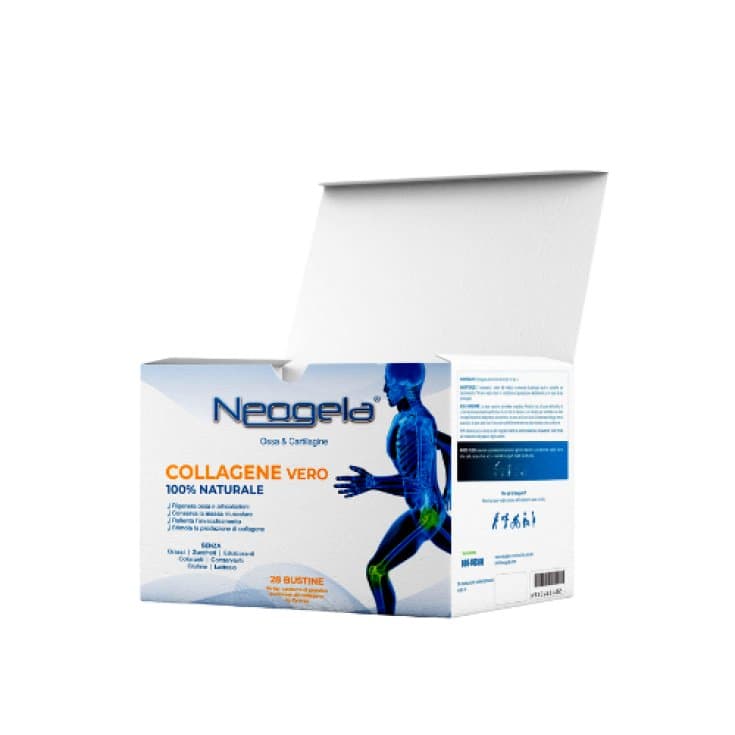 Neogela Probióticos con bacterias lácticas – 28 sobres