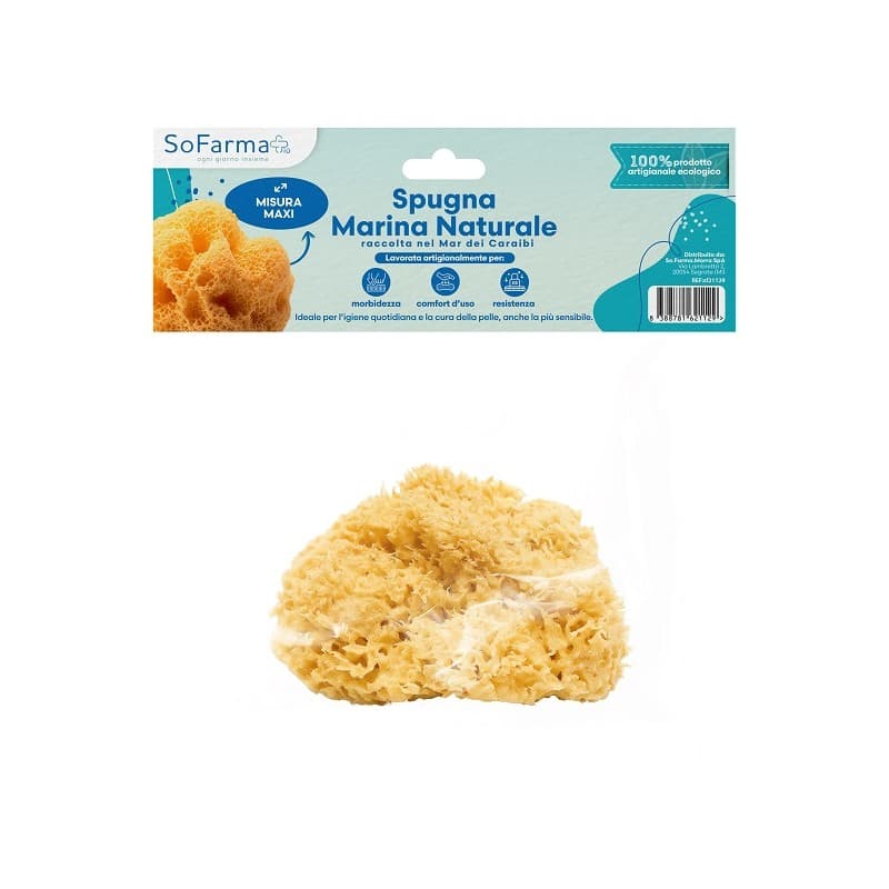 Esponja Natural de Agua de Mar Maxi SF+ – 1 unidad