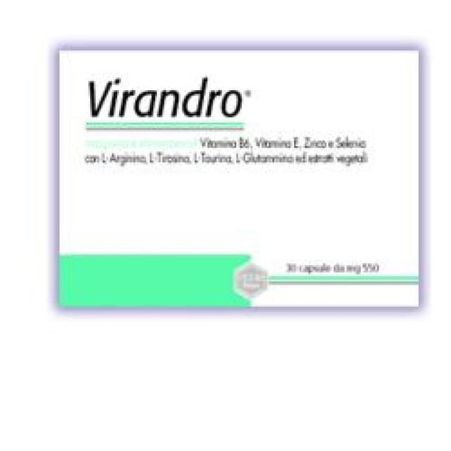 L-Arginina + Ginseng – 30 comprimidos | Virandro Integ Diet