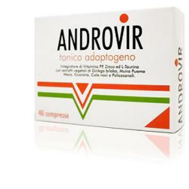Zinc + Ginkgo biloba – 40 comprimidos | Androvir Complemento Alimenticio Ton