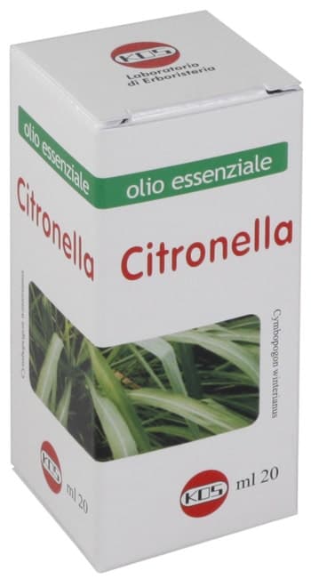 Citronella Aceite Esencial – 20 ml