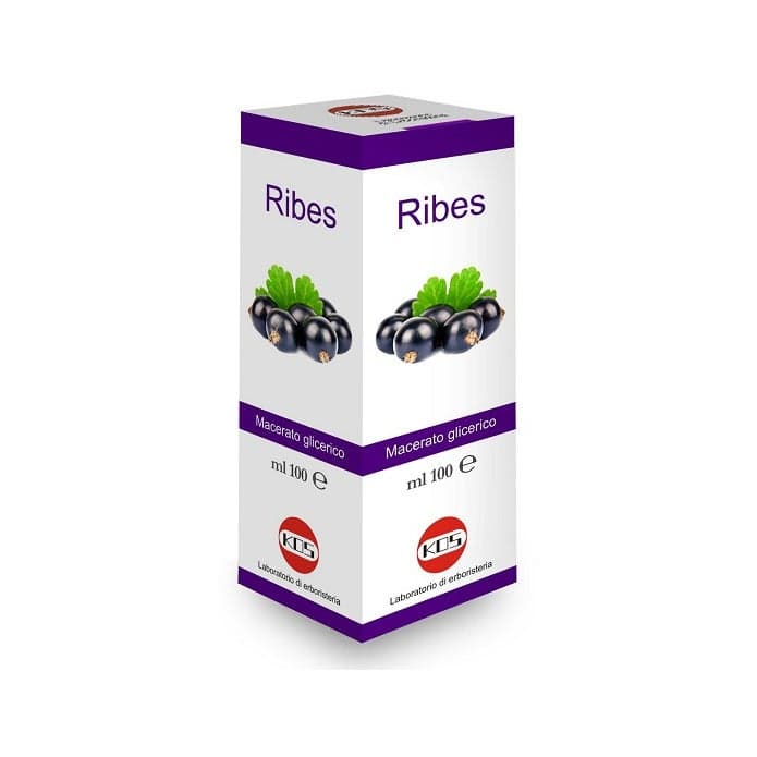 Ribes Nigrum MG Macerado Glicerinado – 100 ml gotas