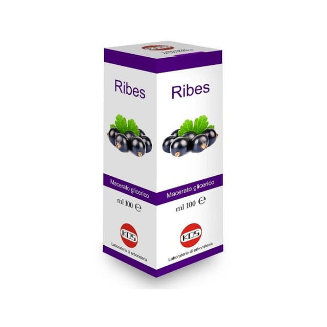 Ribes Nigrum MG Macerado Glicerinado – 100 ml gotas