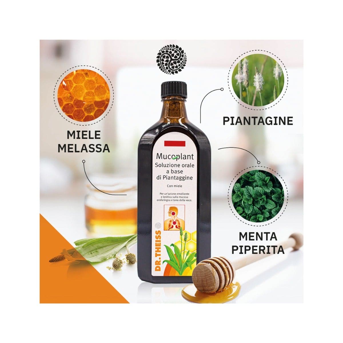Theiss Jarabe de Llantén – 250 ml