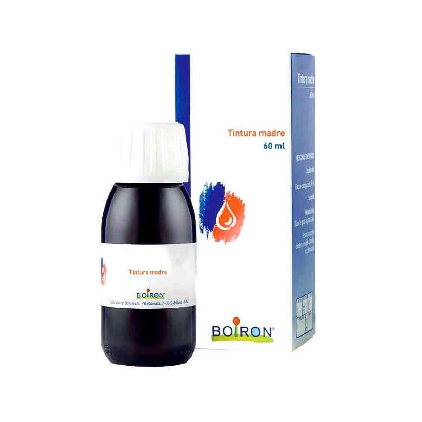 Thuya Occidentalis TM – frasco de 60 ml