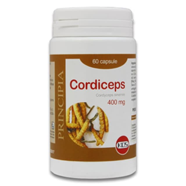 KOS Cordyceps Extracto Seco – 60 cápsulas