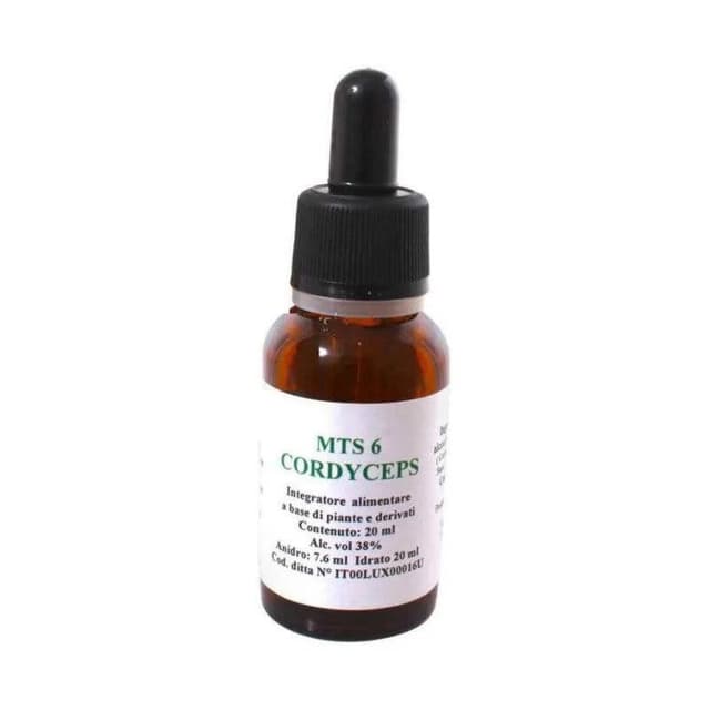 MTS06 Cordyceps Gotas – 20 ml