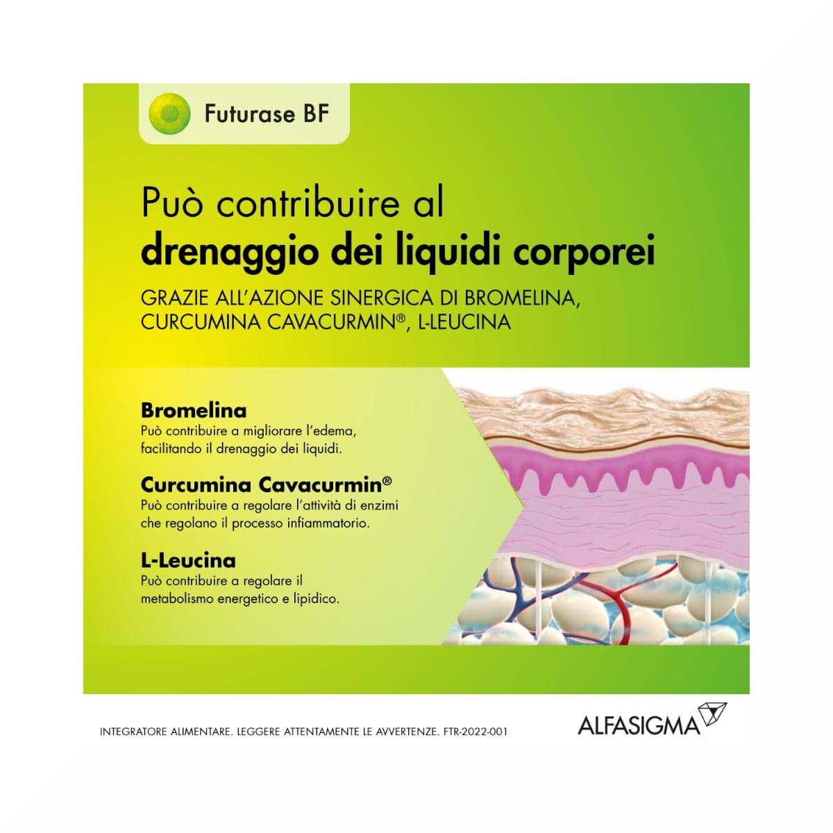 Futurase BF L-Leucina 700 mg + Cúrcuma – 10 sobres de 5 g
