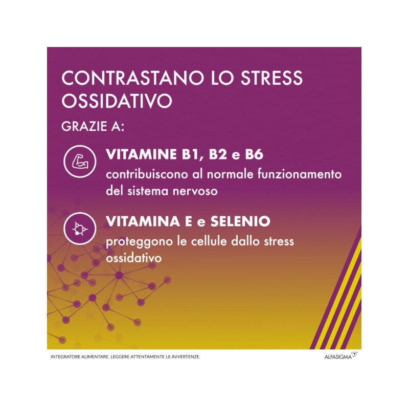Ácido alfa-lipoico + Complejo de vitamina B – 20 cápsulas | Alanerv ON 985 mg