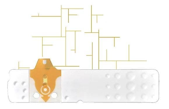 Linea d'Oro Glicemia – 25 tiras