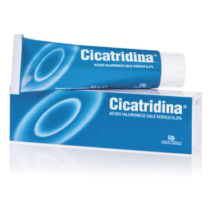 Cicatridina Pomada – 60 g