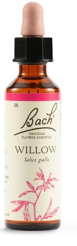 Willow Nº 38 Esencia Floral de Bach Original – 20 ml gotas