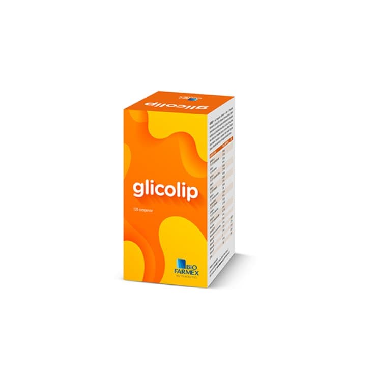Gymnema 500 mg + Cardo mariano – 120 comprimidos | Glicolip