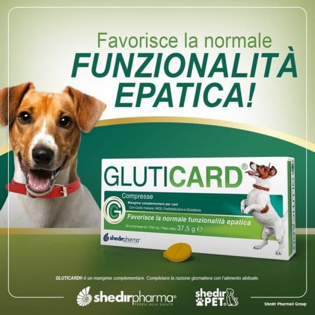 Gluticard – 30 comprimidos divisibles