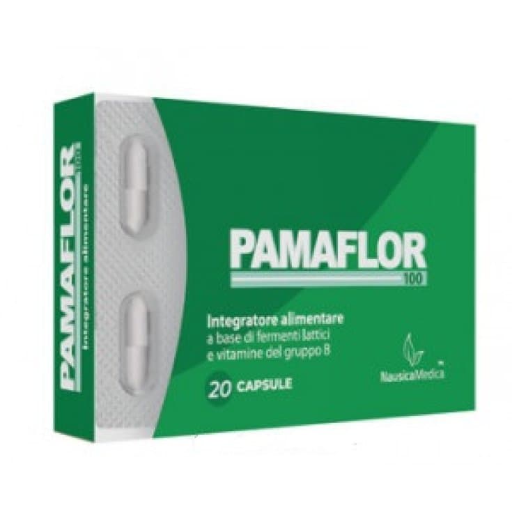 Pamaflor 100 Inulina + Probióticos con Bacterias Lácticas – 20 cápsulas