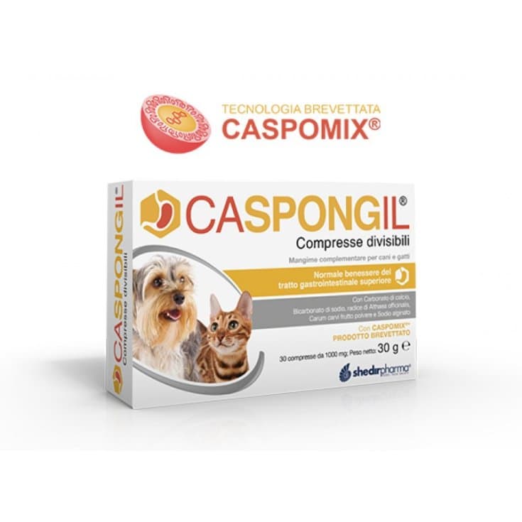 Caspongil – 30 comprimidos divisibles
