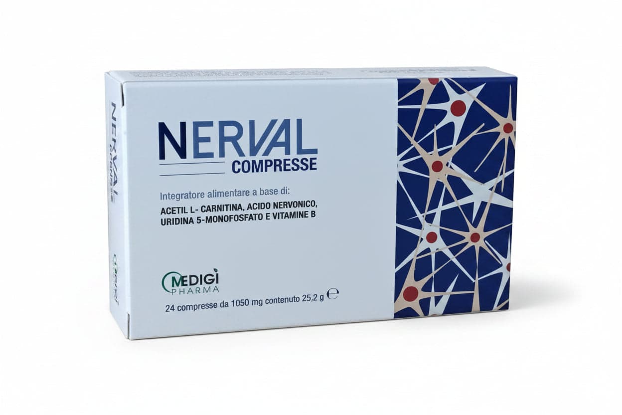 Nerval – Acetil-L-Carnitina + Vitaminas B – 24 comprimidos