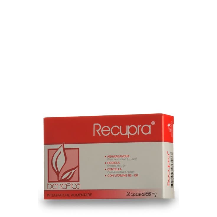 Recupra – 36 cápsulas vegetales