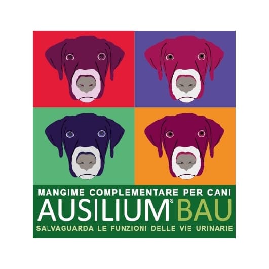 Ausilium Bau – 300 g con cucharilla dosificadora